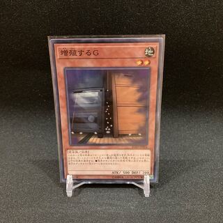 Maxx "C" Weekend Special