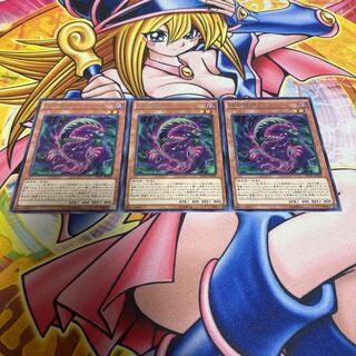 捕食植物フライ・ヘル レア JP006