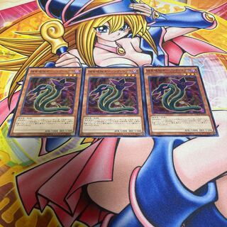 捕食植物ダーリング・コブラ ノーマル JP010