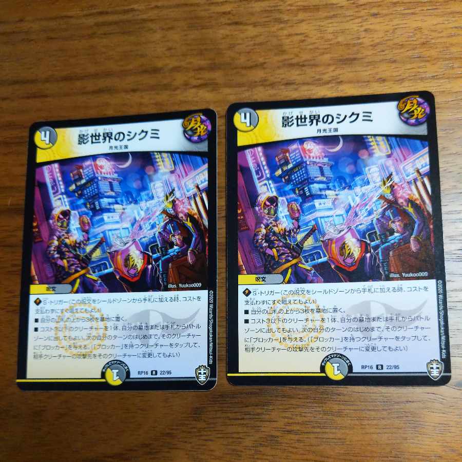 Shikumi in the shadow world R 22/95