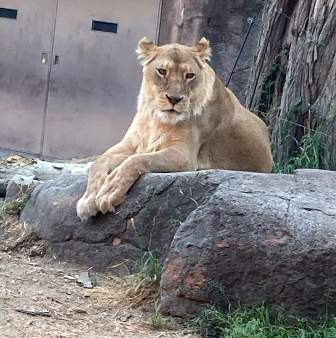 For the exclusive use of Mr. Ame