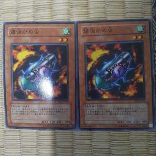 2 bombardier beetles