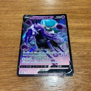 Kokuba Budrex V RR 082/184