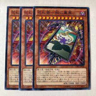 6500 Hanafudawei - Fenghuang in paulownia - ☆8983