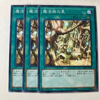 魔法族の里　☆9000