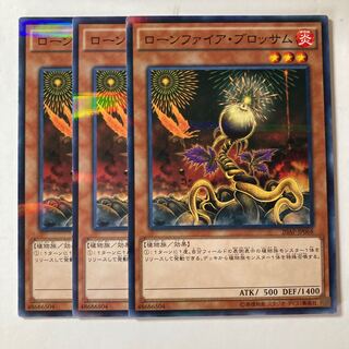 6515 Lonefire Blossom Parallel Normal JP068