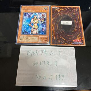 デーモン・テイマー　18672