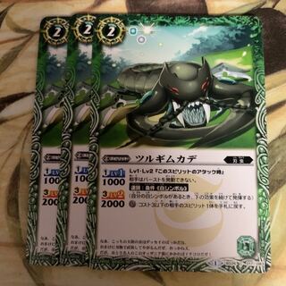 harlequin centipede (Scolopendra subspinipes)