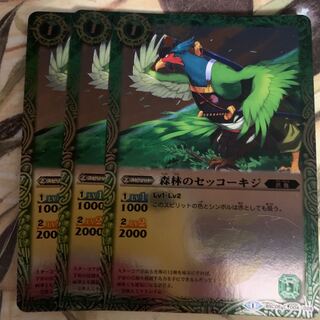 Sekko Pheasant in Forest Forest