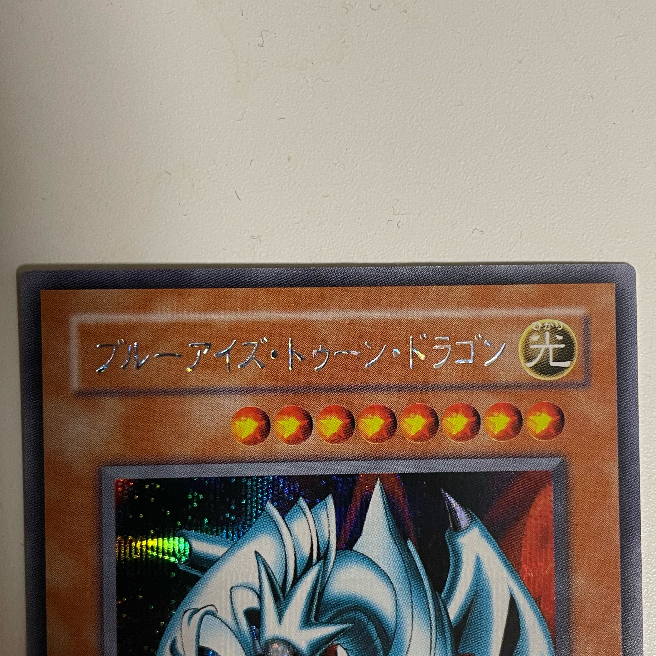 【SE】ブルーアイズ・トゥーン・ドラゴン