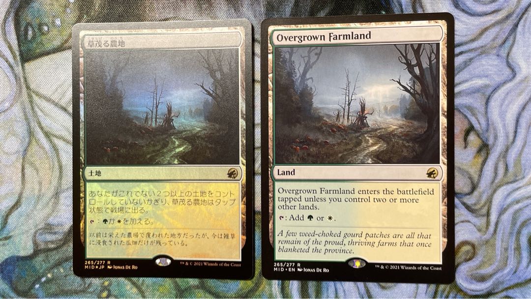 MTG Overgrown Farmland/Overgrown Farmland Japanese foil1 sheet English 1 non-foil 2-card set