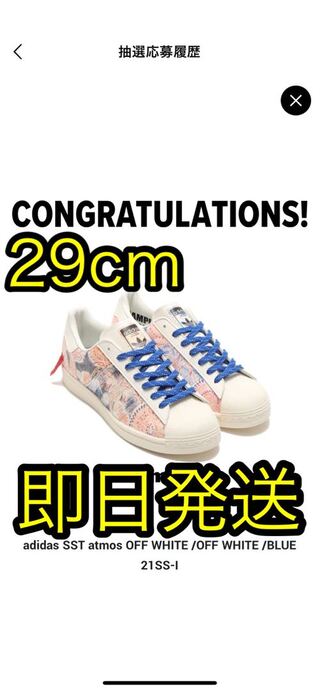 Originals for atmos SUPERSTAR “Mt. Fuji” 29cm