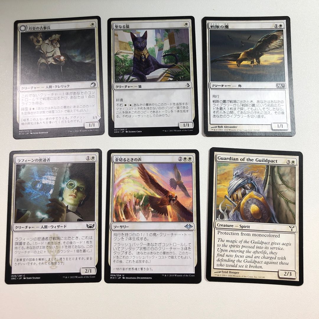 pauper Boros Rally Rosaan Board 60 sheets