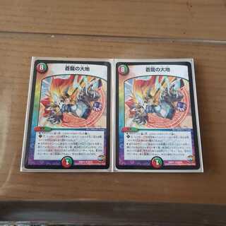 蒼龍の大地 2枚セット