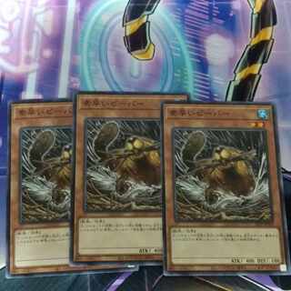 素早いビーバー 3枚セット