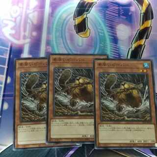 素早いビーバー3枚セット