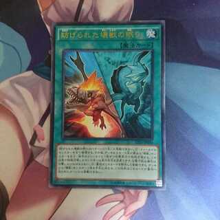 遊戯王 妨げられた壊獣の眠り