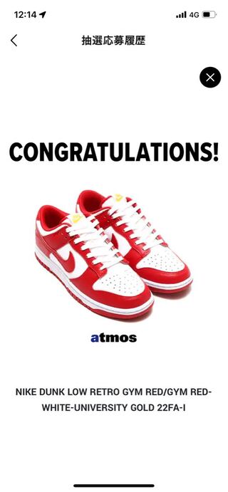 Nike Dunk Low "Gym Red" ナイキ  ダンク  ロー  ジムレッド 28.5cm