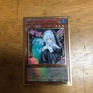 Ghost Sister & Spooky Dogwood