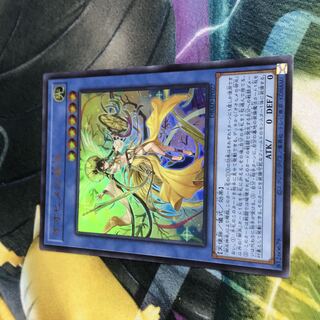 Ohime no Goshu A Rosa Zing Defenders