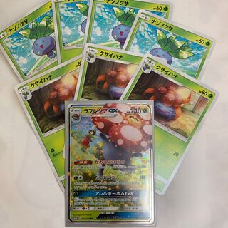 ラフレシア進化