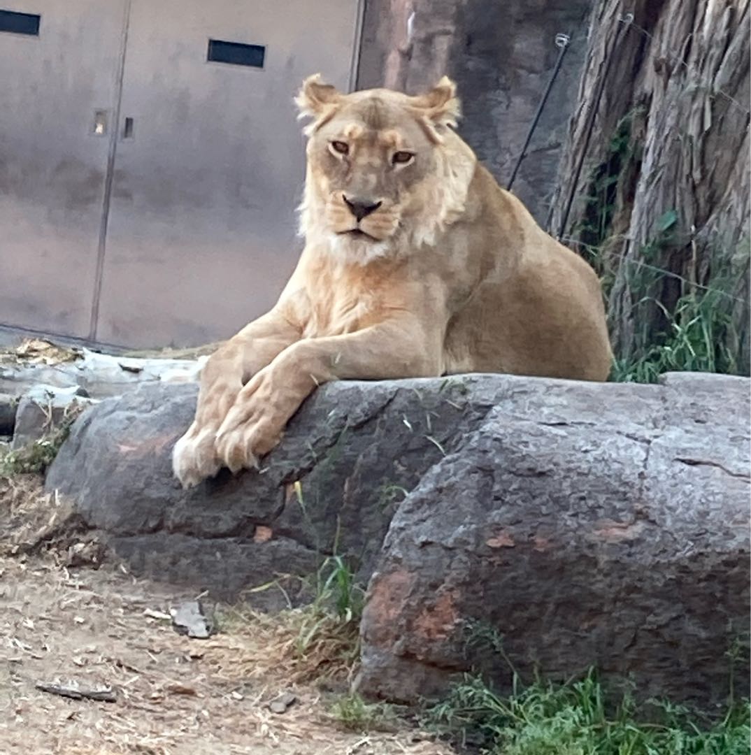 Exclusive for Mr. Solid