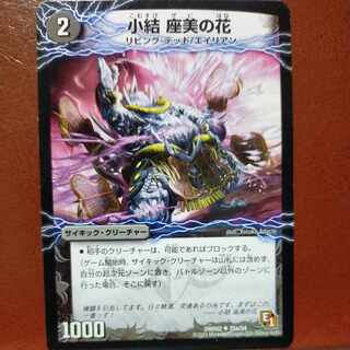 いの獅子さん専用　etd4405セット割引　小結 座美の花｜雲龍 ディス・イズ・大横綱(下) U 25a/54｜25b/54