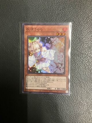 Ash Blossom & Joyous Spring Super Rare JP016