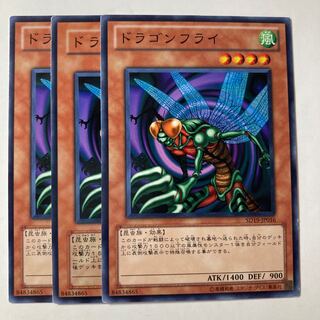 6536 ドラゴンフライ ノーマル JP016