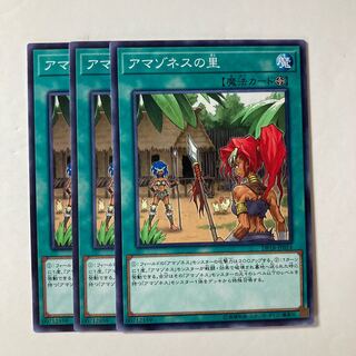 6546 アマゾネスの里 ノーマル JP014