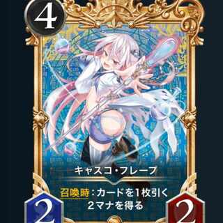 ２枚　キャスコ・フレープ