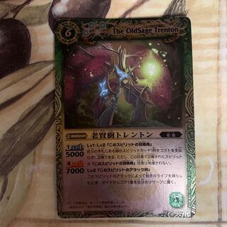 老賢樹トレントン