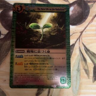 Life on the Battlefield (2013)