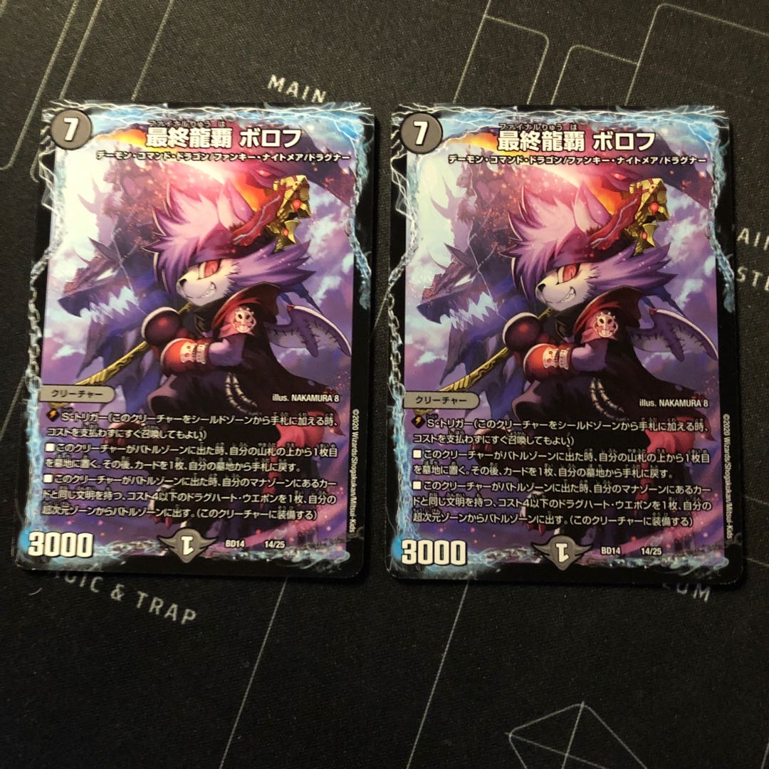 Final Dragon Heights Borov 14/25