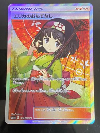 Erika's Hospitality SR 190/173