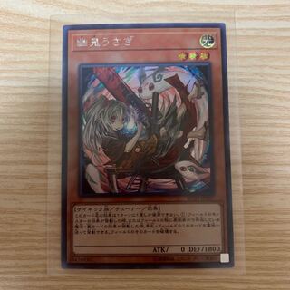 幽鬼うさぎ シークレット 絵違い