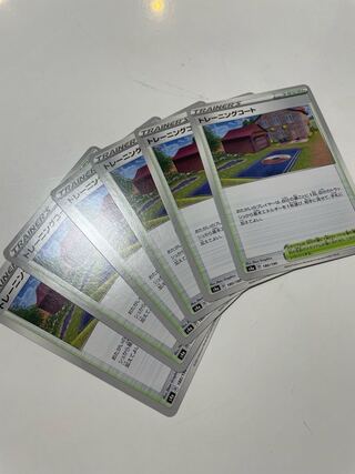 Training Court 180/190