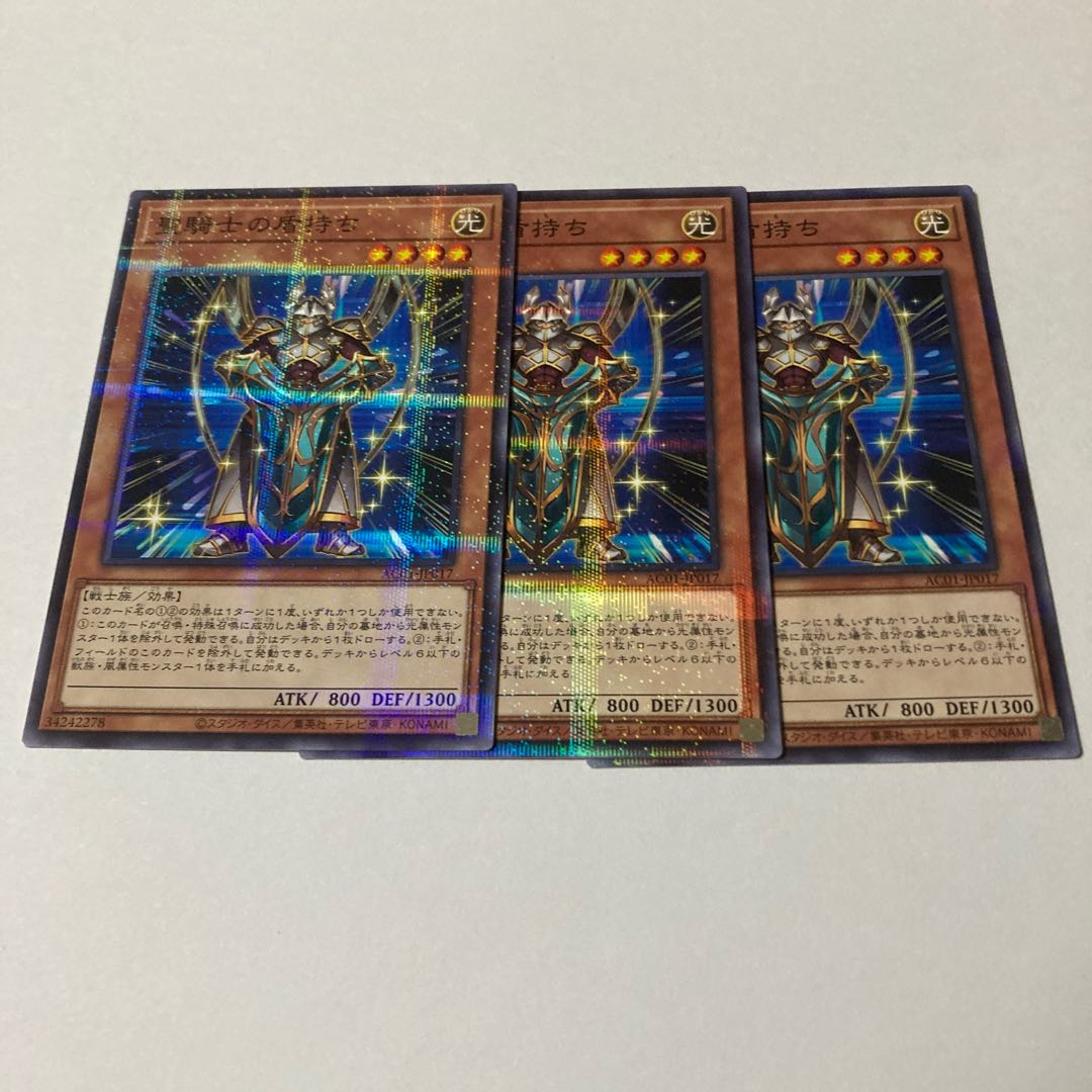 Noble Knight's Shield-Bearer Parallel Normal JP017