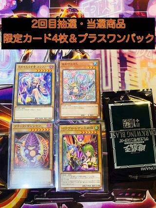 カズ吉様専用　当選商品【評価100達成記念】プレゼント企画