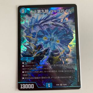 水上第九院シャコガイル