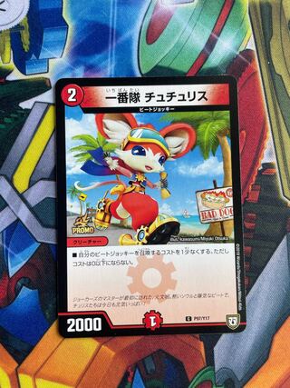 一番隊 チュチュリス C P97/Y17