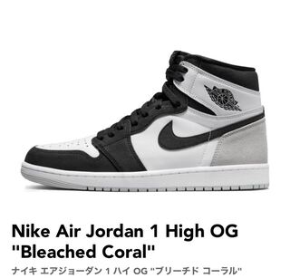 エアジョーダン1  ブリーチドコーラル 29cm