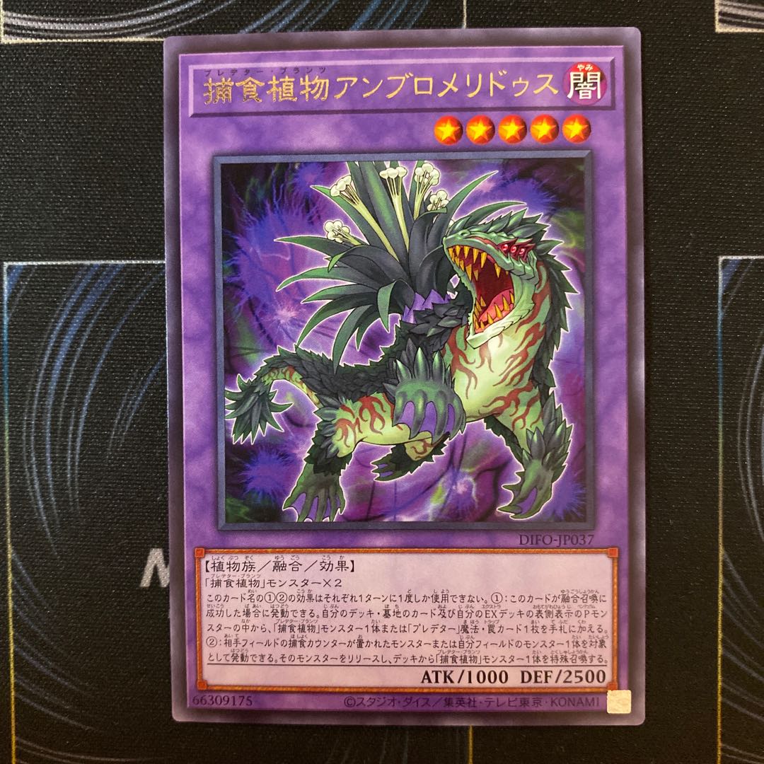 捕食植物アンブロメリドゥス レア JP037