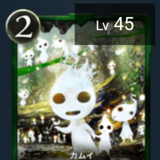 カムイ Lv45