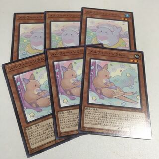 Melfi Wallaby & Melfi Lassi