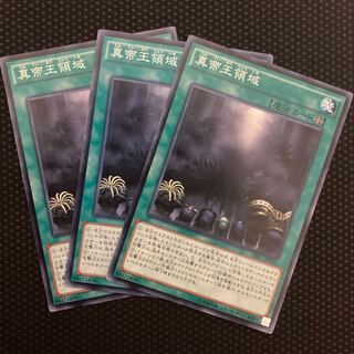 真帝王領域 ノーマル JP024