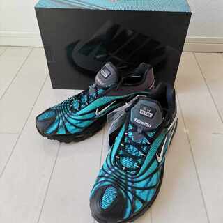 CQ8714-001 30cm 新品未使用 スケプタ × ナイキエアマックス テイルウィンド5 "ブルー" 30cm