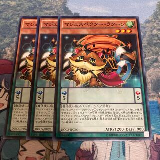 Majespecter Raccoon - Bunbuku Normal 3 copies Special Price