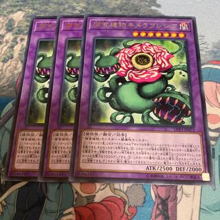 Predaplant Chimerafflesia Rare JP072 3 copies Special Price