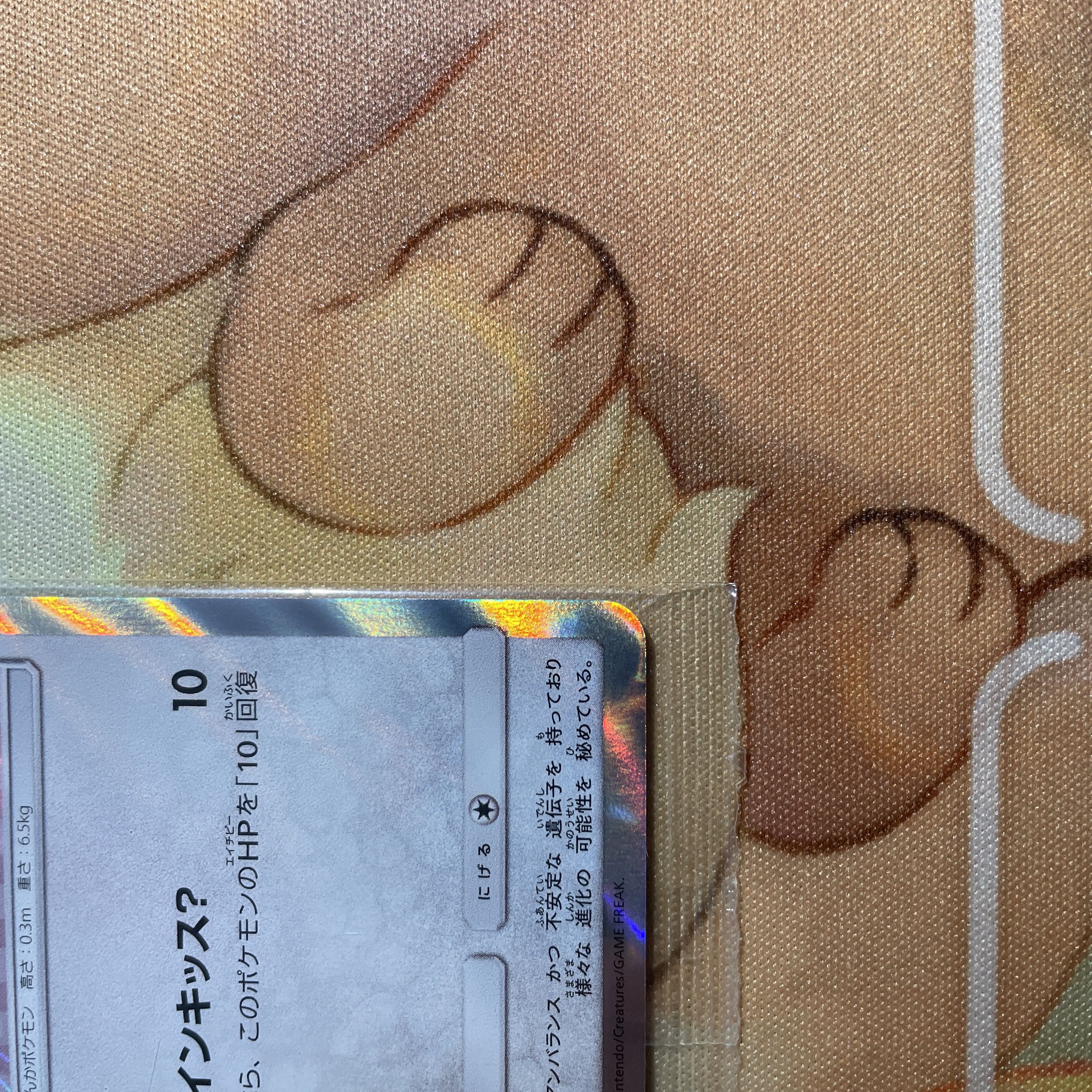 Eevee in poncho, unopened Sylveon PROMO 144/SM-P
